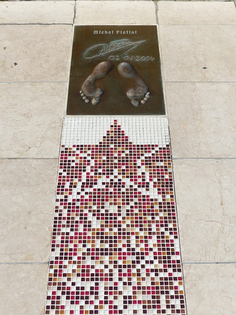 仅展现了两