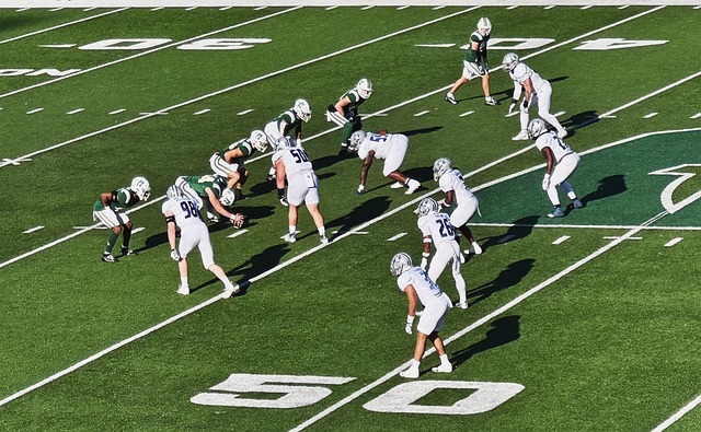 取得了领先 取得了领先