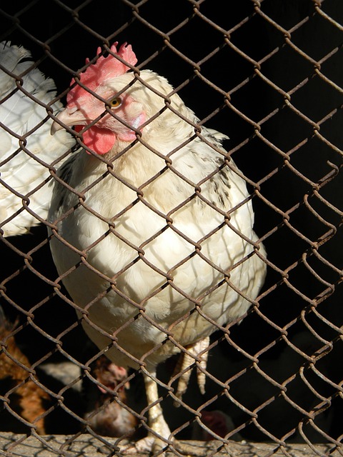 滿戲劇性的 滿戲劇性的