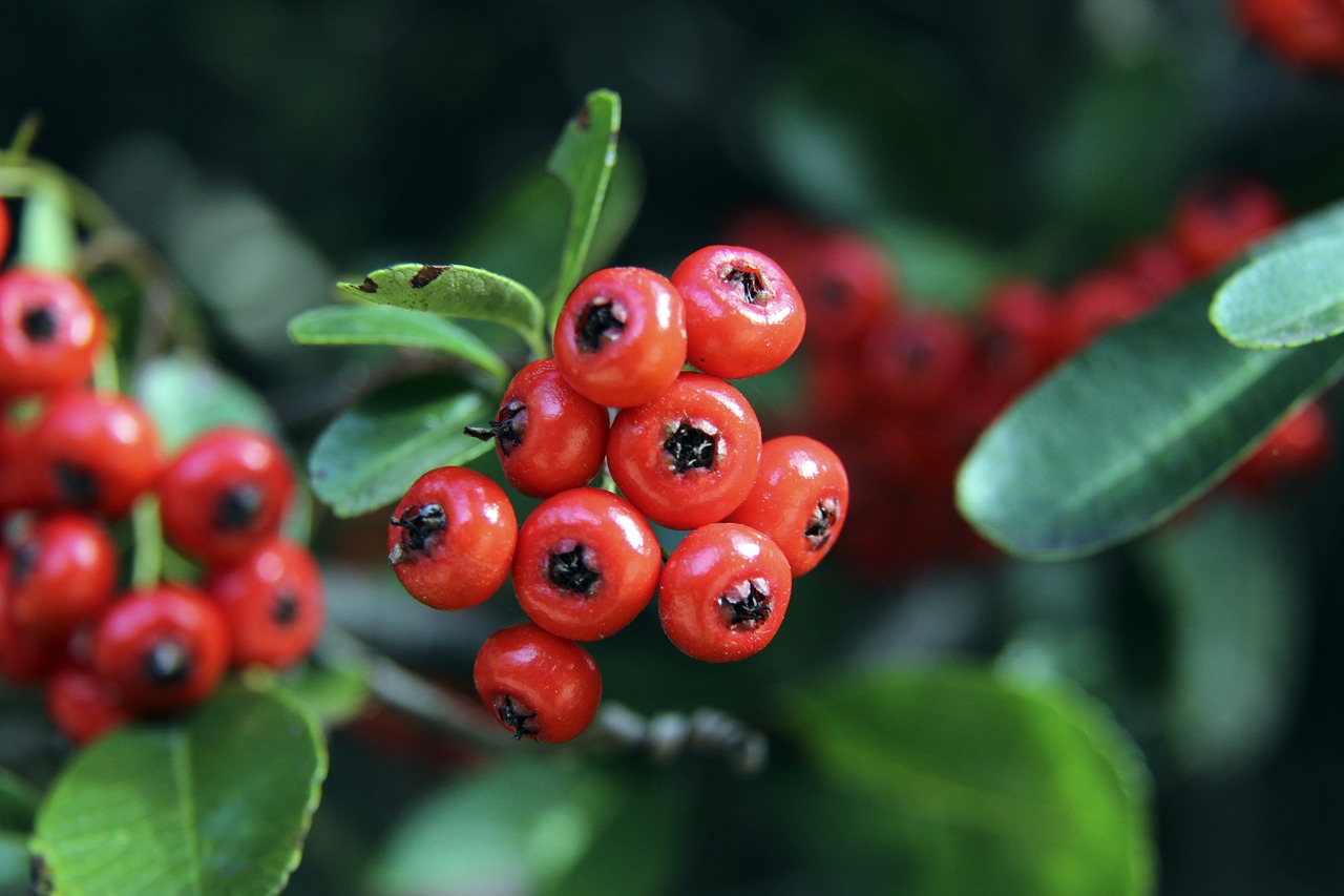 成功压制对 成功压制对