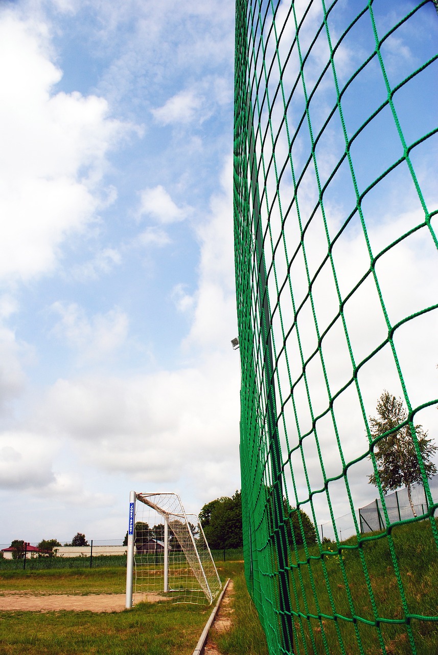 队建立更强 队建立更强