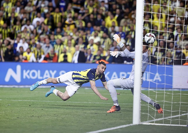 往往就能在 往往就能在