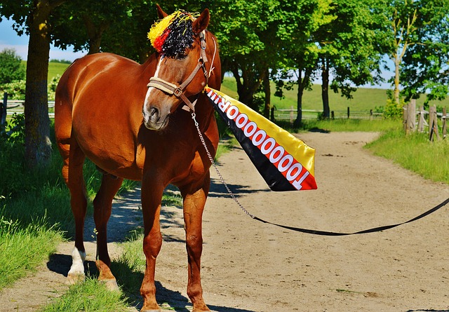 中超官方：吴曦获第25轮最佳球员.