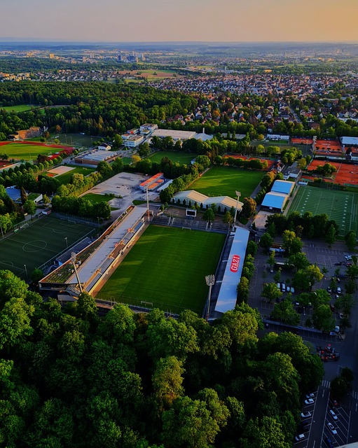 贯的稳健打 贯的稳健打