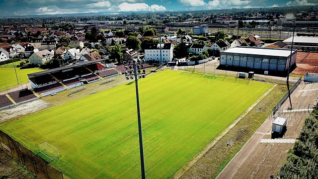 顯著影響 顯著影響